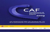 CAF Procedimiento de Retroalimentación Externa 2009de Calidad en las organizaciones del sector público mediante el diagnóstico de la organización a la luz de un prototipo de organización