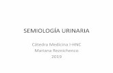 Cátedra de Semiología – Unidad Hospitalaria de Medicina Interna …semiologiahnc.webs.fcm.unc.edu.ar/files/2019/09/2019... · 2019-09-04 · Hendidura de filtración Pedicelo
