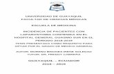 UNIVERSIDAD DE GUAYAQUIL FACULTAD DE CIENCIAS MÉDICAS ...repositorio.ug.edu.ec/bitstream/redug/44519/1/CD... · LAPAROSTOMIA CONTENIDA EN EL HOSPITAL GENERAL GUASMO SUR EN EL PERIODO
