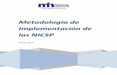 Metodología de Implementación de las NICSP · 2 El contenido del presente documento pertenece al Gobierno de la República de Costa Rica y está protegido por Derechos Reservados