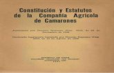 Constitución y Estatutos do la Compañí Agrícola a de Camarones Constitución y Estatutos de la Compañí Agrícola a de Camarones Autorizada po Decretr ¡Supremo Nú 3815mo d 2e