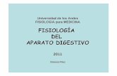 Universidad de los Andes FISIOLOGIA para MEDICINAwebdelprofesor.ula.ve/medicina/pacap/wp-content/...• Generalidades de la función digestiva • Control neural de la función digestiva