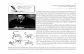 Conrad Gesner (1516-1565), monstrum eruditionissea-entomologia.org/PDF/BOLETIN_30/B30-043-217.pdf1560) editados por el propio Gesner y basados en figuras con un texto abreviado, o