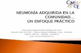 Centro de Investigaciones Microbiológicas del Cesar ...cimce.org/descargas/info_infecto/NEUMONIA... · NAC confirmada CURB 65 (0-1) PSI (I-II) CURB 65 (>2) PSI (>III) Comorbilidades