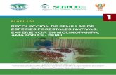 MANUAL RECOLECCIÓN DE SEMILLAS DE ESPECIES …repositorio.iiap.org.pe/bitstream/IIAP/347/1/Oliva_doctec_2014c.pdf · bancos de semillas). La mayoría de las especies de plantas estudiadas