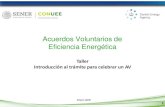 Acuerdos Voluntarios de Eficiencia Energética · 2. Linea base energética 3. Acciones de Eficiencia Energética 4. Estimación del costo-beneficio 5. Meta voluntaria de reducción