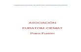 ASOCIACIÓN EURATOM-CIEMAT Para Fusión · 5 asociacion euratom-ciemat para fusión. - annual report 2009 iv.2 insulator materials for components development 63 iv.2.1 characterization
