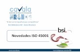 Novedades ISO 45001 - Cavala · Novedades ISO 45001 1. Estructura de alto nivel (HLS) Compatible con otros SG HLS –ISO 9001, ISO 14001-. Relacionada con instrumentos de estrategia