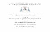 UNIVERSIDAD DEL MARcoralito.umar.mx/tesis/MCA/CD845.pdf · 33 Análsis de la fase de elución del proceso de SPE a 510 min de la degradación fotocatalítica del DCF por medio de