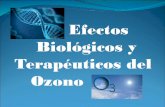Efectos Biológicos y Terapéuticos del Ozonohoraciorestelli.com/web2/descarga.php?f=agenda/documentos/doc_… · autacoides sustancia formada por el organismo de vida media breve