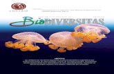 MEDUSAS - México Ambiental · MEDUSAS Las medusas son uno de los organismos acuáticos más bellos y enigmáticos que existen en los mares de todo el mundo. a pesar de su relativa