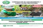 brochure FISCALIZACION AMBIENTAL SEGUN OEFA€¦ · Fiscalización Ambiental para el sector de Electricidad desde el OEFA y el ámbito privado. Fiscalización Ambiental para el sector