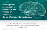 Presentación de PowerPoint - gob.mx · Silvia L. Cruz Martín del Campo Departamento de Farmacobiologia Cinvestav Enero 2016 de los efectos de la mariguana . Puntos a tratar •Efectos