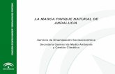 LA MARCA PARQUE NATURAL DE ANDALUCIA · 2) Análisis ambiental de la empresa y propuestas de mejora. 3) Implantación del Sistema de Calidad Marca Parque (Espacio) Natural de Andalucía