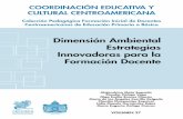 Dimensión Ambiental Estrategias Innovadoras para la ... · Dimensión Ambiental Estrategias Innovadoras para la Formación Docente Alejandrina Mata Segreda Claudia Zúñiga Vega