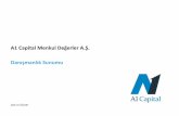 A1 Capital Menkul Değerler A.Ş Danışmanlık Sunumua1capital.com.tr/.../01/A1_Capital_Danismanlik_Sunumu.pdf · 2017-02-04 · Şirket Birleşme & Satın Alma (M&A) Süreci 4.