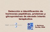 Detección e identificación de hormonas peptídicas ...graseqa/Reunion Sevilla/Barbosa.pdf · Detección e identificación de hormonas peptídicas, proteínas y glicoproteínas de