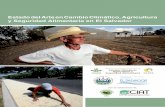 Estado del Arte en Cambio Climático, Agricultura y ... · el “Estado del Arte en Cambio Climático, Agricultura y Seguridad Alimentaria en El Salvador”, así como el marco gubernamental