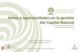 Retos y oportunidades en la gestión del Capital Natural · Compromiso de reducir el carbono . Mejoras del rendimiento . Fin de la deforestación, duplicación de sumideros de carbono