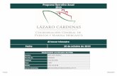 Programa Operativo Anual 2019 - PuertoLazaroCardenas · 2019-10-14 · Nombre Gerente de Teléfono Cisco Celular Correo electrónico gplaneacion@puertolazarocardenas.com.mx Jaime