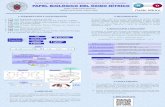 Presentación de PowerPoint147.96.70.122/Web/TFG/TFG/Poster/CARLOS VIVES GUERRERO.pdfotras ECV graves Nitroglicerina, Mono y dinitrato de isosorbida y Nitroprusiato. Inhibidores de