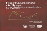 Universidad Autónoma del Estado de Méxicoeconomia.uaemex.mx/CICE/rifcce/publicaciones/2013/... · 2017-05-18 · no menos importante, quisiera agradecer la ardua labor de Alejandra