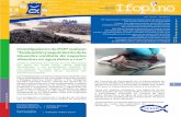 NÚMERO Feb 2016 · Feb 2016 IFOP realiza Evaluación y seguimiento de la situación sanitaria de especies silvestres ... “Actualmente, el estudio abarca un total de 29 zonas, desde