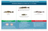 Guía para Consumir Pescado del Lago Evans · 2017-03-13 · Especies de Róbalo Negro (Black Bass species) Especies de Pez Luna (Sunfish species) 7 en total porciones a la semana