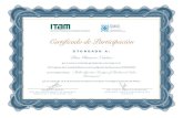 Certificado de Participación - ITAMcsmio2019.itam.mx/archivos/ReconocimientosFacultad/55... · 2019-11-14 · Certificado de Participación OTORGADOA: Elías Olivares Nenítez por