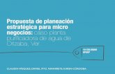 Propuesta de planeación estratégica para micro negocios: caso …reini.utcv.edu.mx/bitstream/123456789/969/1/Coloquio... · 2019-07-08 · aplicada para micro negocios radica en