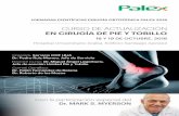 CURSO DE ACTUALIZACIÓN EN CIRUGÍA DE PIE Y TOBILLO · 2018-06-03 · ARTROSIS DE TOBILLO Dr. De los Mozos 11.00 h Dr. Mark Myerson Alternativas de de tratamiento en la artrosis