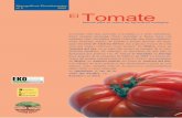 nº 2 2005 El Tomate€¦ · INTENSIDAD Y DURACION DE LA LUZ El tomate no presenta exigencias fotoperiódicas muy estrictas. Durante los 30-45 días siguientes a la siembra, la intensi-dad