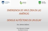 EMERGENCIA DE VIRUS ZIKA EN LAS AMÉRICAS DENGUE … · Diagnóstico de virus Zika Se dispone de poca información acerca de la patogénesis de este virus Período de incubación