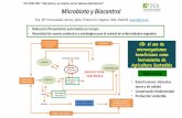 XVII FORO INIA Microbiota Microbiota y Biocontrol...a) BIOCOMES 612713: “Biological control manufacturers in Europe develop novel biological control products to support the implementation