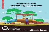 Boletin - Mipymes del Sector Agropecuario · Las condiciones climáticas y del suelo de República Dominicana favorecen la siembra de una gran variedad de cultivos. El 28.0% de las