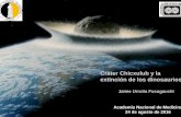 Cráter Chicxulub y la extinción de los dinosaurios - ANMM · 2017-11-23 · impactites inside the crater (impact melt, suevites, and megabreccias), partially preserved ejecta blanket,