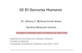 02 El Genoma Humanolab314.com/CursoGMHu/02 El Genoma Humano.pdfEl genoma humano ( genoma de especie ) está constituido por el DNA de los 24 cromosomas nucleares ( ubicados en el núcleo