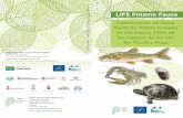 Conservación de fauna fluvial de interés europeo en red ... consoorci_CAST.pdf · Ter, Fluvià y Muga Ilustraciones: Consorci de l'Estany / Toni Llobet Papel ecológico ESP. LIFE