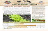 La Cultivación de Hortalizas en Oregón Hojas Verdes para ......Consejos de Jardinería Rápidos: 1 Fáciles de cultivar. Maduran rápidamente. Son excelentes para el inicio de la