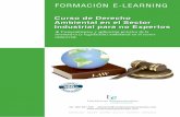 FORMACIÓN E-LEARNING...FORMACIÓN E-LEARNING Conocimientos y aplicación práctica de la normativa (y legislación) ambiental en el sector industrial. Curso de Derecho Ambiental en