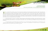 Carolina Esquivel Dobles. Escuela de Biología, Universidad de Costa … · n Costa Rica habita una de las faunas de anfibios más diversas del mundo. Esta diversidad se aprecia en