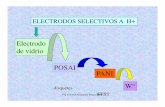 Electrodo de vidrio POSAI PANI disquetes W°depa.fquim.unam.mx/amyd/archivero/PresentacionCLASE:... · 2012-05-10 · Larry R. Faulkner Department of Chemistry and Biochemistry The