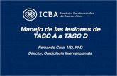 Manejo de las lesiones de TASC A a TASC D...OUTBACK® LTDTM Re-Entry Catheter Tuning the T Marker • Move image intensifier to (90 degree) orthogonal view. • Ensure OUTBACK® LTDTM