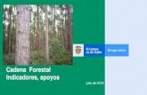 Cadena Forestal Indicadores, apoyos · Mapa de Zonificación de Aptitud para plantaciones forestales con fines comerciales en 3 regiones y 14 departamentos de Colombia. Escala: 1:100.000.