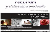 Diapositiva 1 - dsanjuan.orgdsanjuan.org/descargas/upload//Derecho a la Vida.pdf · 5 Estados del país, entre ellos Jalisco, presentan un amparo ante la SCJN contra el matrimonio
