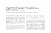 Eritropoyetina recombinante humana (r-HuEPO) en pacientes ... · intoxicación por aluminio. Se administraron por vía venosa 50 U/kg tres veces por semana de eritropoyetina recombinante