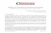 Chiapas: la emergencia sanitaria permanentegeopolitica.iiec.unam.mx/sites/default/files/2019-09/ch2blanco.pdf · notificación en los servicios de salud (morbilidad por demanda de