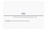 FBD - 20132 - 07 SQLif976/aulas/material_extra_SQL.pdf · Alguns ajustes e atualizações foram realizados e, em 1992, uma segunda versão da SQL foi lançada. Esta segunda versão