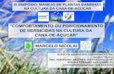 “COMPORTAMENTO OU POSICIONAMENTO III SIMPOSIO... · jaboticabal - sp 18outubro2012 marcelo nicolai “comportamento ou posicionamento de herbicidas na cultura da cana-de-aÇÚcar”