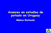 Avances en estudios de potasio en Uruguay - IPNIlacs.ipni.net/ipniweb/region/lacs.nsf/0... · 2019-03-27 ·